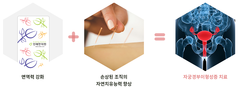 인애한의원 자궁경부이형성증 한방 근본치료— 비수술 치료로 면역력강화·바이러스 저항력·재발 방지안내