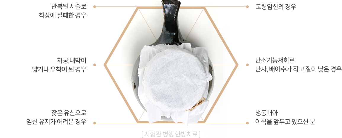 시험관 병행 한방치료 적응대상 — 시험관 반복 실패, 착상불안, 고령 임신, 난소기능 저하 여성