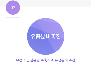 산후 유즙분비와 모유수유 —산모 붓기 제거·아이 면역력향상·산후회복 촉진·체중감량효과 안내 이미지