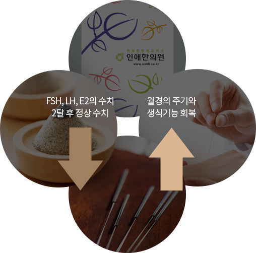 인애한의원 조기폐경한방치료 효과 — FSH·LH·E2수치 2개월 후 정상화, 월경주기·생식기능 회복, 갱년기 증상소실 (J. Oriental Obs. GynecolVol.16 No.3, 2003)