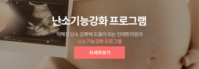 난소기능강화 프로그램