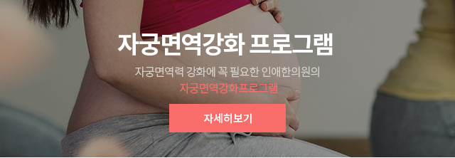자궁면역강화 프로그램