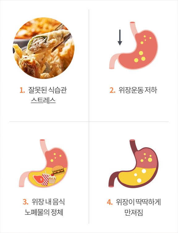 1. 잘못된 식습관 2. 위장운동 저하 3. 위장내 음식 노폐물의 정체 4. 위장이 딱딱하게 만져짐