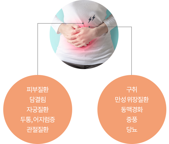 피부질환 담결림 자궁질환 두통, 어지럼증 관절질환 구취 만성 위장질환 동맥경화 중풍 당뇨