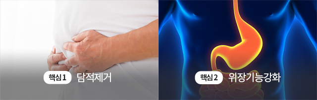 핵심1 담적제거 핵심 2 위장기능 강화