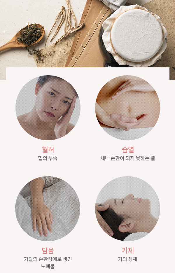 자궁경부이형성증 한의학병인 4가지 — 혈허(혈부족)·습열(순환 안 되는열)·담음(기혈 순환장애노폐물)·기체(기 정체) 도식