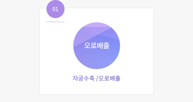 산후 자궁 회복 및 오로 배출— 임신 중 500배 커진 자궁이4주 후 정상화되는 과정, 오로미배출 시 어혈질환 위험 안내