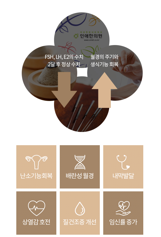 인애한의원 조기폐경한방치료 효과 — FSH·LH·E2수치 2개월 후 정상화, 월경주기·생식기능 회복, 갱년기 증상소실 (J. Oriental Obs. GynecolVol.16 No.3, 2003)