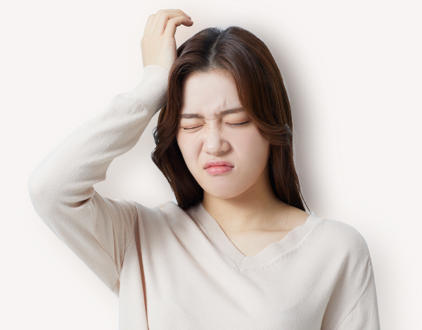 항생제 내성 만성질염 발생 과정 — 항생제가 유익균까지제거하여 유해균 번식 악순환도식