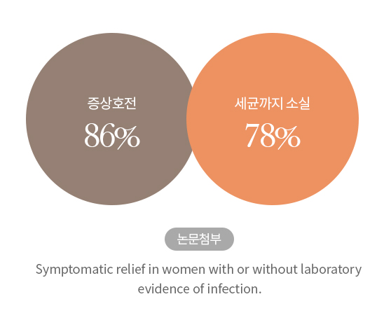 질염 한의학 원인 분류 — 담적·담습·습열·비허로 인한대하병(帶下炳) 한방 병인 설명이미지