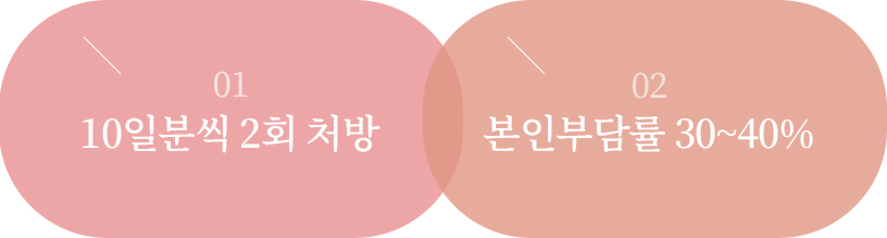 01 - 10일분씩 2회 처방, 02 - 본인부담률 30~40%