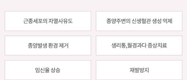 근종세포의 자멸사유도 종양주변의 신생혈관 생성 억제 종양발생 환경 제거 생리통, 월경과다 증상치료 임신율 상승 재발방지